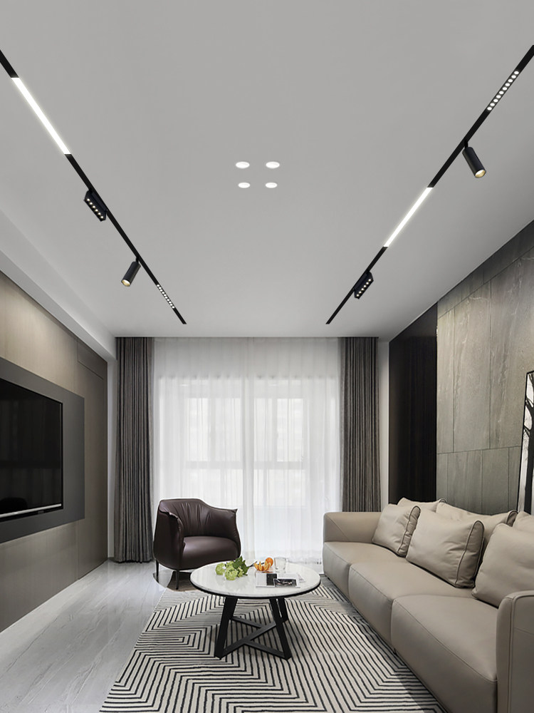 Zhiyu Magnetic Track Light 20W LED Spotlight Living Room More