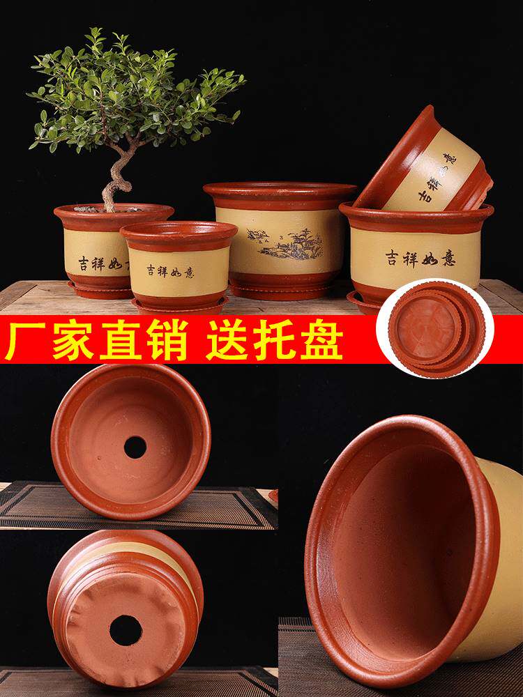 대형 화분 특별 가격 세라믹 초대형 정리 무료 배송 황토 보라색 모래 거친 세라믹 냄비 CLIVIA ORCHID 트레이 포함-