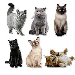 Foreign trade car stickers realistic cute cat body bumper decoration stickers furniture laptop stickers custom Foreign trade car stickers realistic cute cat body bumper decoration stickers furniture laptop stickers custom