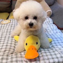 Dog Plush Toy Squeaky Duck Puppy Teething Boredom Buster Teddy Bichon Shiba Inu Pet Puppy Self-Entertainment Gadget Dog Plush Toy Squeaky Duck Puppy Teething Boredom Buster Teddy Bichon Shiba Inu Pet Puppy Self-Entertainment Gadget