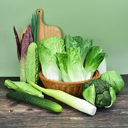 Simulated Vegetable Set, Plastic Fake Fruit and Vegetable Models, Kitchen Decorations, Photography Props, Kidsren's Toys Simulated Vegetable Set, Plastic Fake Fruit and Vegetable Models, Kitchen Decorations, Photography Props, Kidsren's Toys