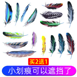 Car Stickers to Cover Scratches, Feather Car Stickers, Creative and Personalized Patterns to Cover Electric Vehicle Scratches, Decorative Stickers Car Stickers to Cover Scratches, Feather Car Stickers, Creative and Personalized Patterns to Cover Electric Vehicle Scratches, Decorative Stickers