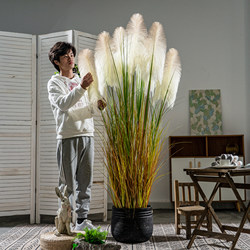New High-End Artificial Reed Grass Plant, Fake Tree for Indoor Living Room, Simulated Green Plant Landscaping, Potted Decorative Ornament New High-End Artificial Reed Grass Plant, Fake Tree for Indoor Living Room, Simulated Green Plant Landscaping, Potted Decorative Ornament