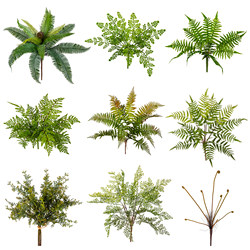 Fake Flowers and Plants for Decoration, Simulated Ferns, Green Plants, Wall Landscaping, Plastic Bionic Tropical Fake Leaves for Decoration Fake Flowers and Plants for Decoration, Simulated Ferns, Green Plants, Wall Landscaping, Plastic Bionic Tropical Fake Leaves for Decoration
