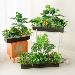 Simulated Green Plants for Decoration, Small Flower Boxes, Fake Potted Plants, Indoor High-End Bionic Landscaping, High-End Living Room Flowers Simulated Green Plants for Decoration, Small Flower Boxes, Fake Potted Plants, Indoor High-End Bionic Landscaping, High-End Living Room Flowers