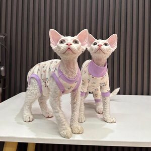 Pet summer floral four-legged vest prevents cold hairless cat clothing Sphinx Devin kitten 
Pet summer floral four-legged vest prevents cold hairless cat clothing Sphinx Devin kitten