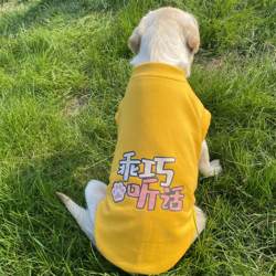 Autumn and Winter Fleece Vest Dog Clothes Labrador Golden Retriever Samoyed Border Collie Medium and Large Dog Pet Winter Autumn and Winter Fleece Vest Dog Clothes Labrador Golden Retriever Samoyed Border Collie Medium and Large Dog Pet Winter