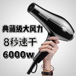 German Hair Salon Professional Hair Dryer for Home Use, High-Power Negative Ion Hair Care, Strong Wind, Quick Drying, Hot and Cold German Hair Salon Professional Hair Dryer for Home Use, High-Power Negative Ion Hair Care, Strong Wind, Quick Drying, Hot and Cold