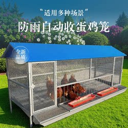 Chicken Coop for Home Use, Outdoor, Rainproof, Automatic Egg Collection, Anti-Pecking, Anti-Guinea Pig, Anti-Rat, Thickened Stainless Steel Egg-Laying Breeding Cage Chicken Coop for Home Use, Outdoor, Rainproof, Automatic Egg Collection, Anti-Pecking, Anti-Guinea Pig, Anti-Rat, Thickened Stainless Steel Egg-Laying Breeding Cage