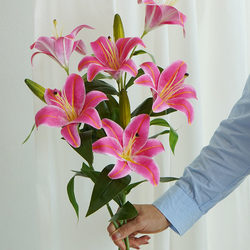 Lily Artificial Flowers Fake Flowers Table Decoration 3D Realistic Touch Living Room Wedding Decoration High-End Floral Arrangement Lily Artificial Flowers Fake Flowers Table Decoration 3D Realistic Touch Living Room Wedding Decoration High-End Floral Arrangement