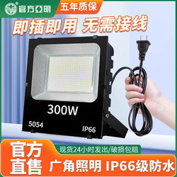 Construction Site Engineering Night Market Stall Mobile Plug-In Led Floodlight Courtyard 50W Searchlight with Wire Lighting Construction Site Engineering Night Market Stall Mobile Plug-In Led Floodlight Courtyard 50W Searchlight with Wire Lighting
