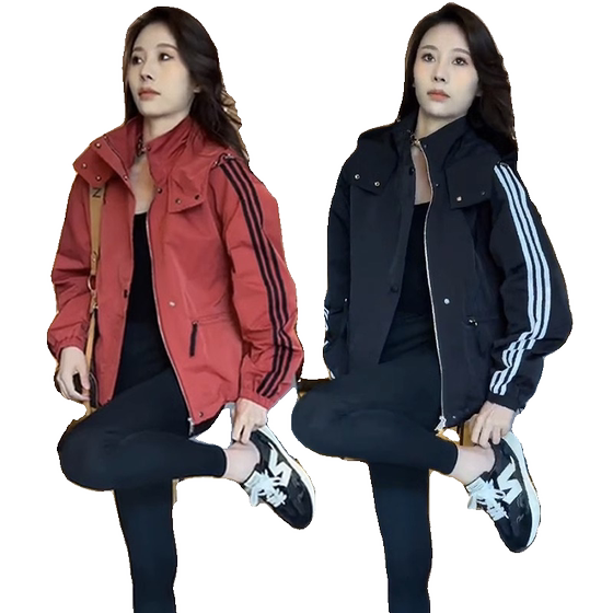 New baseball uniforms, cotton jackets, women's Korean version of jackets, plus cotton jackets, sports jackets, casual windbreakers
New baseball uniforms, cotton jackets, women's Korean version of jackets, plus cotton jackets, sports jackets, casual windbreakers
