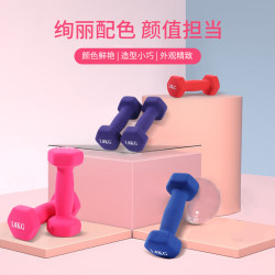 Dumbbells for Women's Fitness Home Equipment, Dumbbells for Men's Fitness Home Equipment, Solid Cast Iron, Student Weight Loss Dumbbells for Women's Fitness Home Equipment, Dumbbells for Men's Fitness Home Equipment, Solid Cast Iron, Student Weight Loss