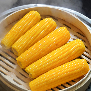 非转基因玉米真空包装甜糯玉米家用东北黄糯玉米早餐粗粮粘糯苞米