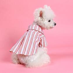 Young pet clothes, dog and cat clothes, 33031876 lining, small and medium-sized dogs, comfortable and casual gold strips Young pet clothes, dog and cat clothes, 33031876 lining, small and medium-sized dogs, comfortable and casual gold strips