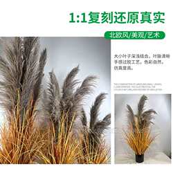 Cross-border simulated plants, fake green plants for landscaping, artificial onion grass, simulated potted plants, real reed head pampas grass Cross-border simulated plants, fake green plants for landscaping, artificial onion grass, simulated potted plants, real reed head pampas grass