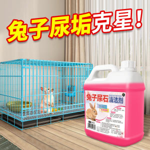 Home environment cleaning and powerful urination and lithotripsy bioenzyme cleaner pet urine stain removal daily cleaning agent Home environment cleaning and powerful urination and lithotripsy bioenzyme cleaner pet urine stain removal daily cleaning agent