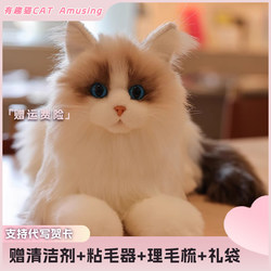 Washable Realistic Cat Doll Ragdoll Cat Plush Toy Kitten Stuffed Animal Doll Toy Girl Gift Washable Realistic Cat Doll Ragdoll Cat Plush Toy Kitten Stuffed Animal Doll Toy Girl Gift