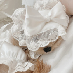 Cat Maltese pet nightgown white dog Cat Maltese pet nightgown white dog