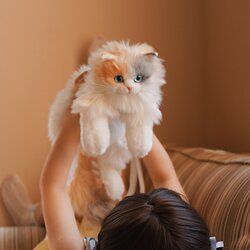 Mai Kou Sheep Simulation Three-Colored Kitten Plush Backpack Backpack Plush Doll Sleeping Hug Toy Children's Birthday Gift Mai Kou Sheep Simulation Three-Colored Kitten Plush Backpack Backpack Plush Doll Sleeping Hug Toy Children's Birthday Gift