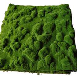 Simulated moss turf green artificial turf plant wall display window micro landscape bonsai decorative moss flocking turf Simulated moss turf green artificial turf plant wall display window micro landscape bonsai decorative moss flocking turf