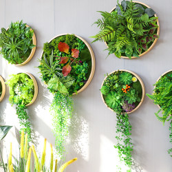 Wall decoration plant wall round artificial succulent wall hanging green plant wall balcony wall three-dimensional ugly decoration Wall decoration plant wall round artificial succulent wall hanging green plant wall balcony wall three-dimensional ugly decoration