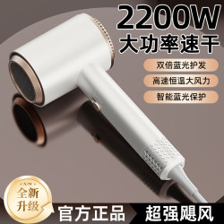 German Hair Dryer for Home Use, Negative Ion Hair Care, Dormitory, Student, Barber Shop Special Hair Dryer, High Wind Speed Drying Hair Dryer German Hair Dryer for Home Use, Negative Ion Hair Care, Dormitory, Student, Barber Shop Special Hair Dryer, High Wind Speed Drying Hair Dryer