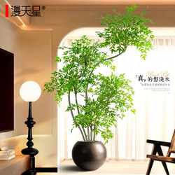 Simulated Nandina Bamboo High-End Light Luxury Style Artificial Tree Indoor Living Room Decoration Ornament Floor-Standing Landscaping Bionic Green Plant Potted Plant Simulated Nandina Bamboo High-End Light Luxury Style Artificial Tree Indoor Living Room Decoration Ornament Floor-Standing Landscaping Bionic Green Plant Potted Plant