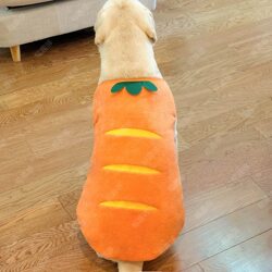 Pet dog clothes flannel autumn and winter warm Pet dog clothes flannel autumn and winter warm