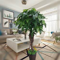 Special offer real money tree simulation fake plant artificial decorative tree window booth scenery office floor bonsai Special offer real money tree simulation fake plant artificial decorative tree window booth scenery office floor bonsai