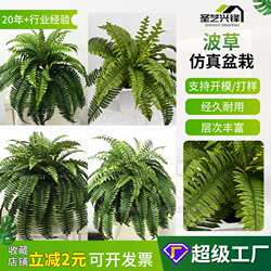 Artificial Boston Fern Simulated Grass Simulated Fern Leaves Green Plants Indoor Potted Living Room Ferns Persian Grass Artificial Boston Fern Simulated Grass Simulated Fern Leaves Green Plants Indoor Potted Living Room Ferns Persian Grass