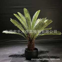 High simulation cycad potted indoor and outdoor landscape fake green plants artificial garden plants decorative bonsai ornaments floor-standing High simulation cycad potted indoor and outdoor landscape fake green plants artificial garden plants decorative bonsai ornaments floor-standing