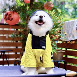 Pet big dog raincoat, windproof and rainproof charging jacket, casual clothing, golden retriever Samoyed, medium and large dog clothes Pet big dog raincoat, windproof and rainproof charging jacket, casual clothing, golden retriever Samoyed, medium and large dog clothes