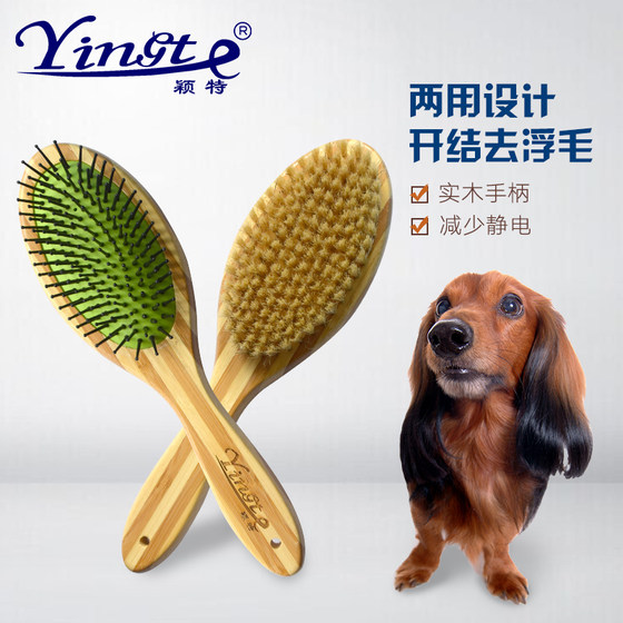 Pet two-sided comb, daily bristle massage and cleaning, cat and dog grooming comb, dog needle comb pet supplies
Pet two-sided comb, daily bristle massage and cleaning, cat and dog grooming comb, dog needle comb pet supplies