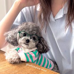 Pet dog clothes summer thin striped polo shirt cute cat clothing small dog Teddy Bichon Bomei Pet dog clothes summer thin striped polo shirt cute cat clothing small dog Teddy Bichon Bomei