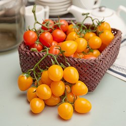 Simulated Fruit Tomato Model Props Plastic Fruit and Vegetable Cherry Tomatoes Tomato Exhibition Hall Window Decoration Props for Photography Simulated Fruit Tomato Model Props Plastic Fruit and Vegetable Cherry Tomatoes Tomato Exhibition Hall Window Decoration Props for Photography
