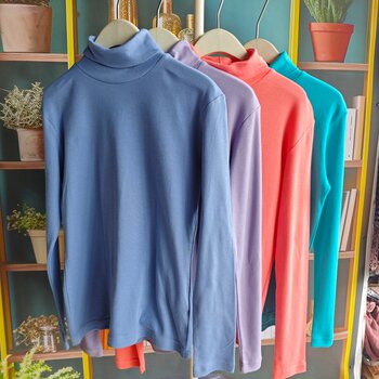 New foreign trade products Autumn and winter women's high-neck long-sleeved T-shirt bottoming shirt casual versatile top pure cotton large size 
New foreign trade products Autumn and winter women's high-neck long-sleeved T-shirt bottoming shirt casual versatile top pure cotton large size