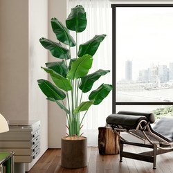 Bionic Green Plants, Artificial Plants, Traveler's Banana, Large Fake Trees, Bird of Paradise, Nordic Indoor Living Room Decoration Potted Ornaments Bionic Green Plants, Artificial Plants, Traveler's Banana, Large Fake Trees, Bird of Paradise, Nordic Indoor Living Room Decoration Potted Ornaments