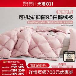 Boyang Home Textiles 95% White Goose down Quilt Class a down Winter Quilt Core Thickened Warm Winter Goose down Quilt Four Seasons Quilt Boyang Home Textiles 95% White Goose down Quilt Class a down Winter Quilt Core Thickened Warm Winter Goose down Quilt Four Seasons Quilt