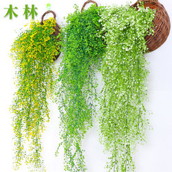 Artificial Flower Vine, Fake Flower, Silk Flower, Golden Bell Willow, Wall Hanging, Living Room, Shop, Pipe, Wall Decoration, Indoor Greenery Artificial Flower Vine, Fake Flower, Silk Flower, Golden Bell Willow, Wall Hanging, Living Room, Shop, Pipe, Wall Decoration, Indoor Greenery