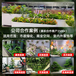 Simulated green plant landscaping combination flower trough flower box partition floor-standing floral plant landscape bionic artificial flower decoration Simulated green plant landscaping combination flower trough flower box partition floor-standing floral plant landscape bionic artificial flower decoration