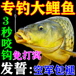 Special Bait for Carp Fishing, Suitable for Wild Stream and Black Pit Fishing, All-Season Use, Specialized for Carp, Highly Effective Fishing Bait Special Bait for Carp Fishing, Suitable for Wild Stream and Black Pit Fishing, All-Season Use, Specialized for Carp, Highly Effective Fishing Bait