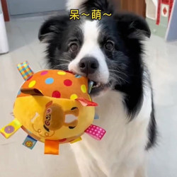 Dog Sound-Making Toy Ball, Boredom-Relief Gadget, Pet Chew-Resistant, Energy-Consuming, Teeth-Grinding Plush Ball for Border Collies, Shiba Inus, and Corgis Dog Sound-Making Toy Ball, Boredom-Relief Gadget, Pet Chew-Resistant, Energy-Consuming, Teeth-Grinding Plush Ball for Border Collies, Shiba Inus, and Corgis