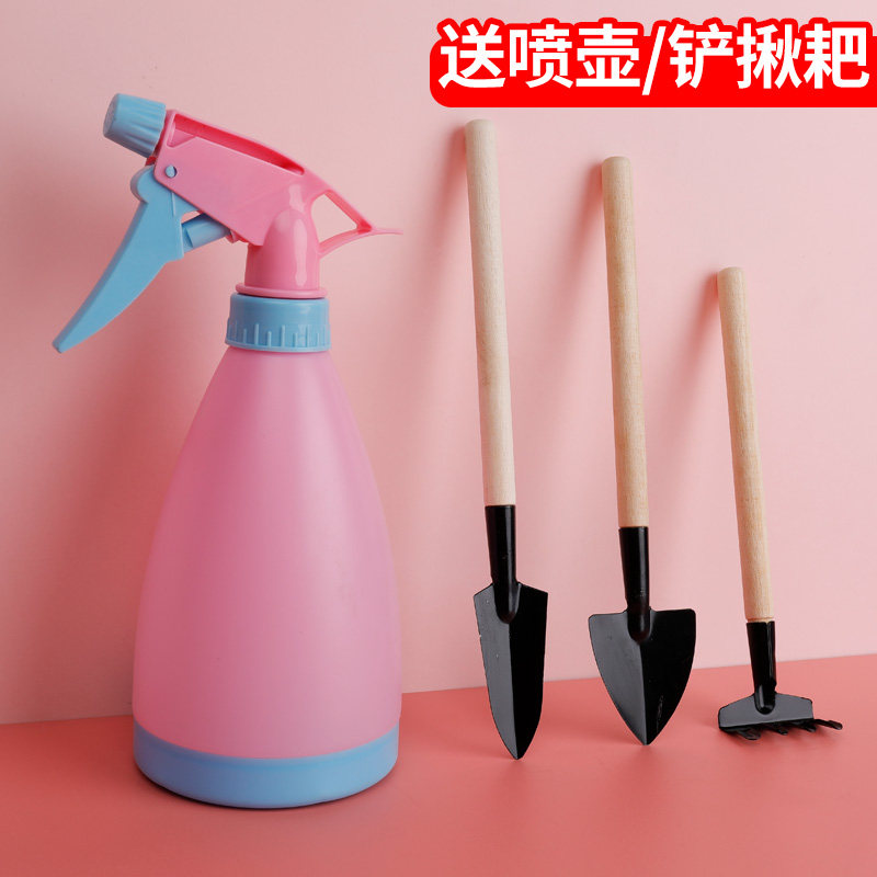 델리 꽃가위, 정원가위, 전정가위, 꽃전정가위, 꽃전정가위, 가정용 꽃가지 및 꽃도구 키트, 가지가위, 꽃집 전정 및 전정, 식물 꽃집 꽃꽂이-