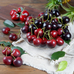 Artificial Small Fruit Strawberry Fake Mini Cherry Cherry Fruit No. 35 Small Fruit Display Cabinet Decoration Props for Photography Artificial Small Fruit Strawberry Fake Mini Cherry Cherry Fruit No. 35 Small Fruit Display Cabinet Decoration Props for Photography