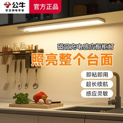 Bull Kitchen Light Magnetic Self-Adhesive Led Human Body Sensor No Wiring USB Rechargeable Strip Light for Cabinets and Wardrobes Bull Kitchen Light Magnetic Self-Adhesive Led Human Body Sensor No Wiring USB Rechargeable Strip Light for Cabinets and Wardrobes