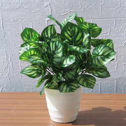 Indoor and Outdoor Decoration, Fresh and Simple Artificial Flowers and Plants, Green Radish Ornaments, Living Room Fake Flowers, Partition Decorations, Potted Green Plants Indoor and Outdoor Decoration, Fresh and Simple Artificial Flowers and Plants, Green Radish Ornaments, Living Room Fake Flowers, Partition Decorations, Potted Green Plants