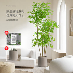 Simulated Green Plant Nandina Bamboo Fake Plant Potted Plant Bionic Green Plant Living Room Decoration Ornaments High-End Accessible Luxury Simulated Flowers Simulated Green Plant Nandina Bamboo Fake Plant Potted Plant Bionic Green Plant Living Room Decoration Ornaments High-End Accessible Luxury Simulated Flowers