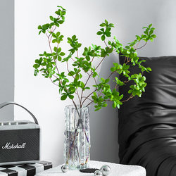 Artificial Hanging Clock-Shaped Green Plant, Fake Plant Decoration, Potted Ornament, Artificial Horse-Dranker Tree, Artificial Living Room Flowers, Artificial Flower Arrangement Artificial Hanging Clock-Shaped Green Plant, Fake Plant Decoration, Potted Ornament, Artificial Horse-Dranker Tree, Artificial Living Room Flowers, Artificial Flower Arrangement