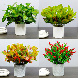 Artificial Evergreen Potted Plants, Fake Plants for Indoor and Outdoor Decoration, Plastic Small Potted Plants, Garden-Style Artificial Flowers and Green Plants for Display Artificial Evergreen Potted Plants, Fake Plants for Indoor and Outdoor Decoration, Plastic Small Potted Plants, Garden-Style Artificial Flowers and Green Plants for Display